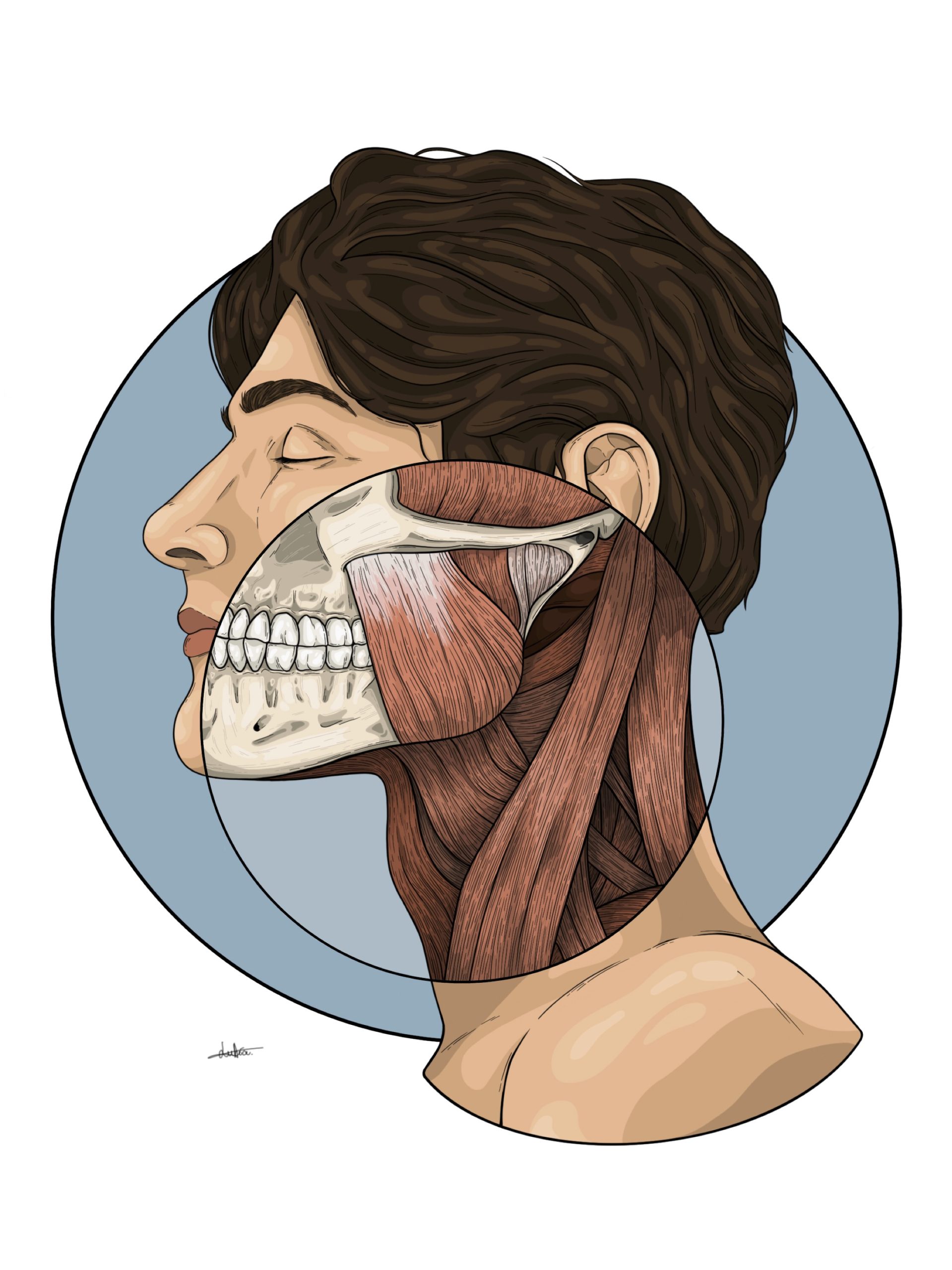 Ilustración de la parte superior de un hombre en la que se ve la mandíbula y los músculos del cuello.